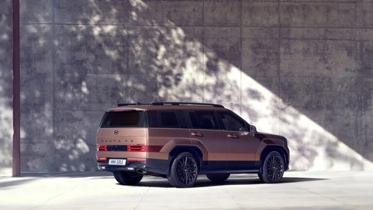 Hyundai Santa Fe - bronze