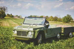 Citroen Méhari, la prova "wild"