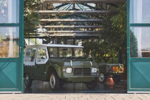 Citroen Méhari, la prova "wild"