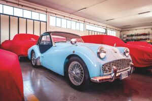 L’insospettabile collezione di Andrea de Adamich