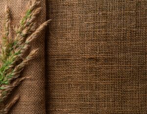 Materiali Vegani nell'Industria automotive