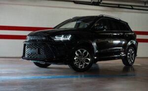 SWM, ok il prezzo è (forse) giusto