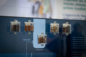 Gruppo ENI scommette nel settore agricolo per la sostenibilità