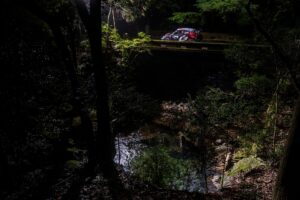 Rally Japan